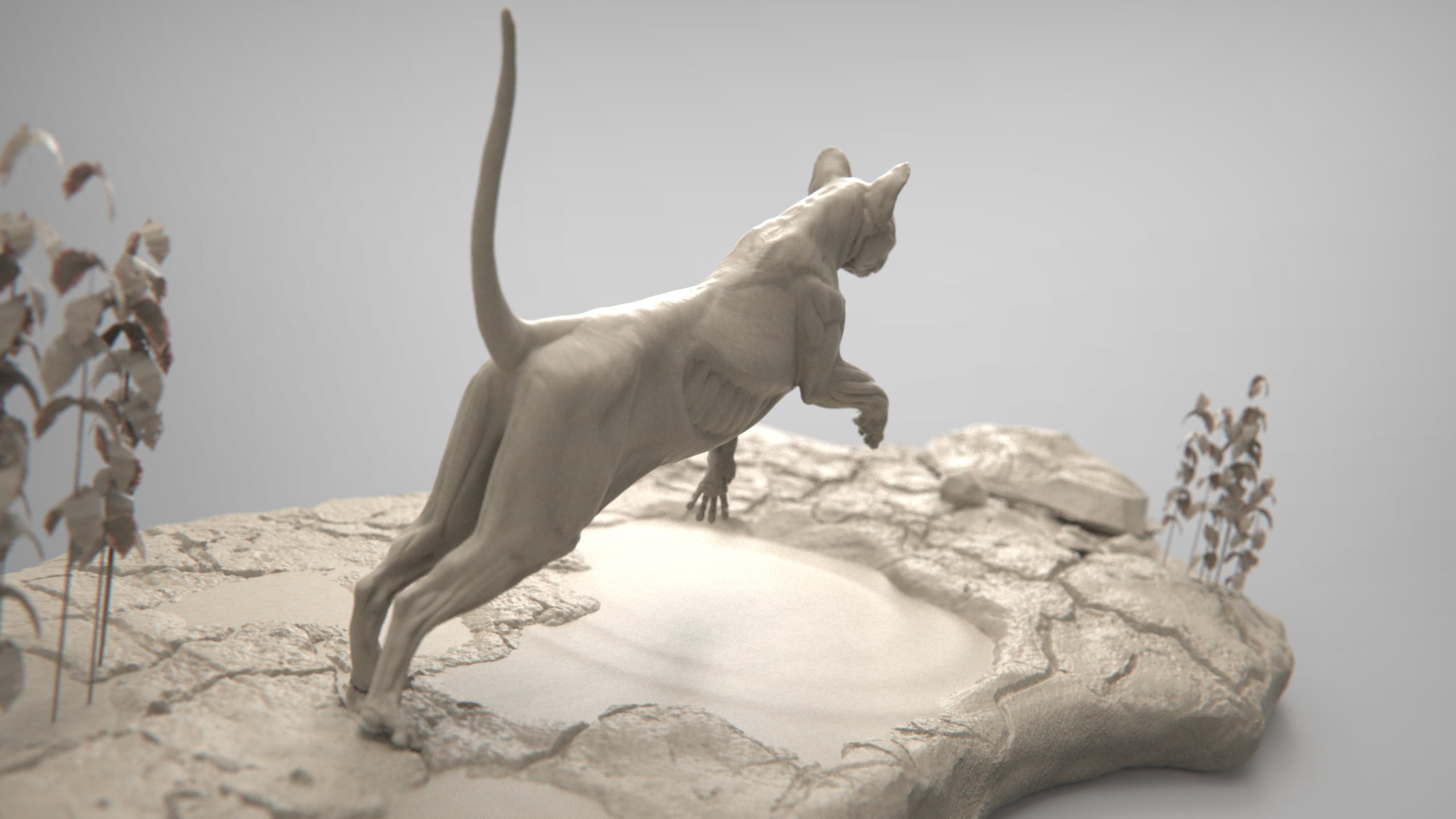 MarcusTrolldenier_SculptingAnatomy_week4_domestic_cat_02.jpg