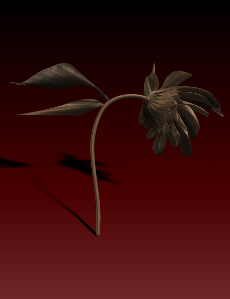 FLOWERS 1.jpg