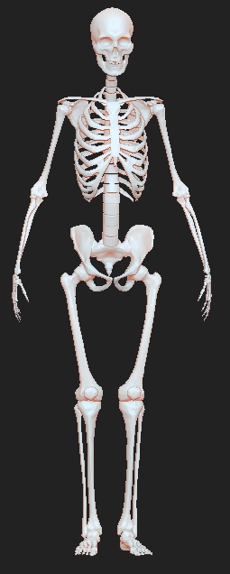 multimeshryanfemale.jpg