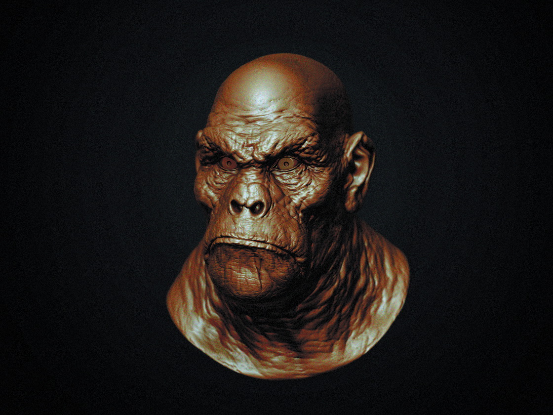 Ape_03A.jpg