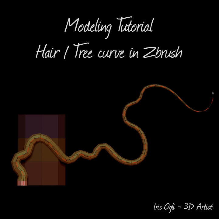 HairModelingTutorial.jpg