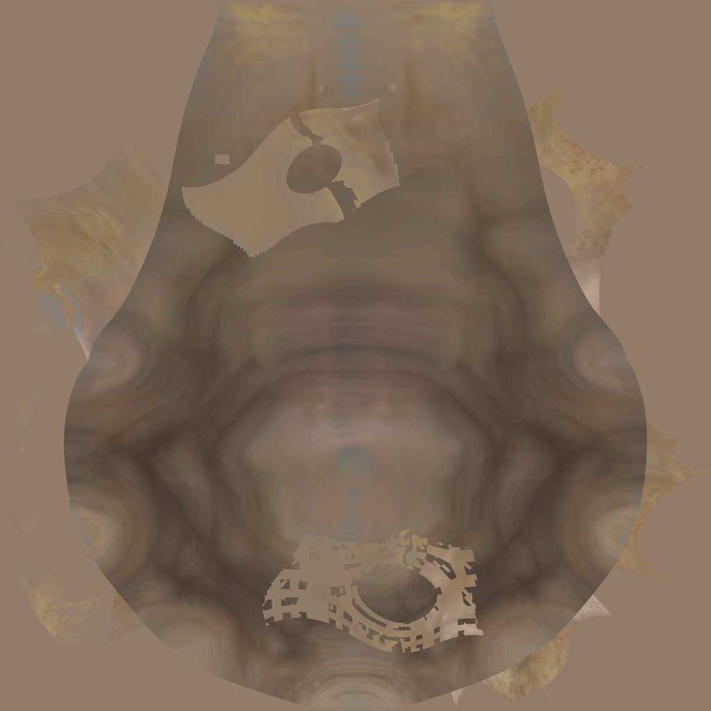 body3.jpg
