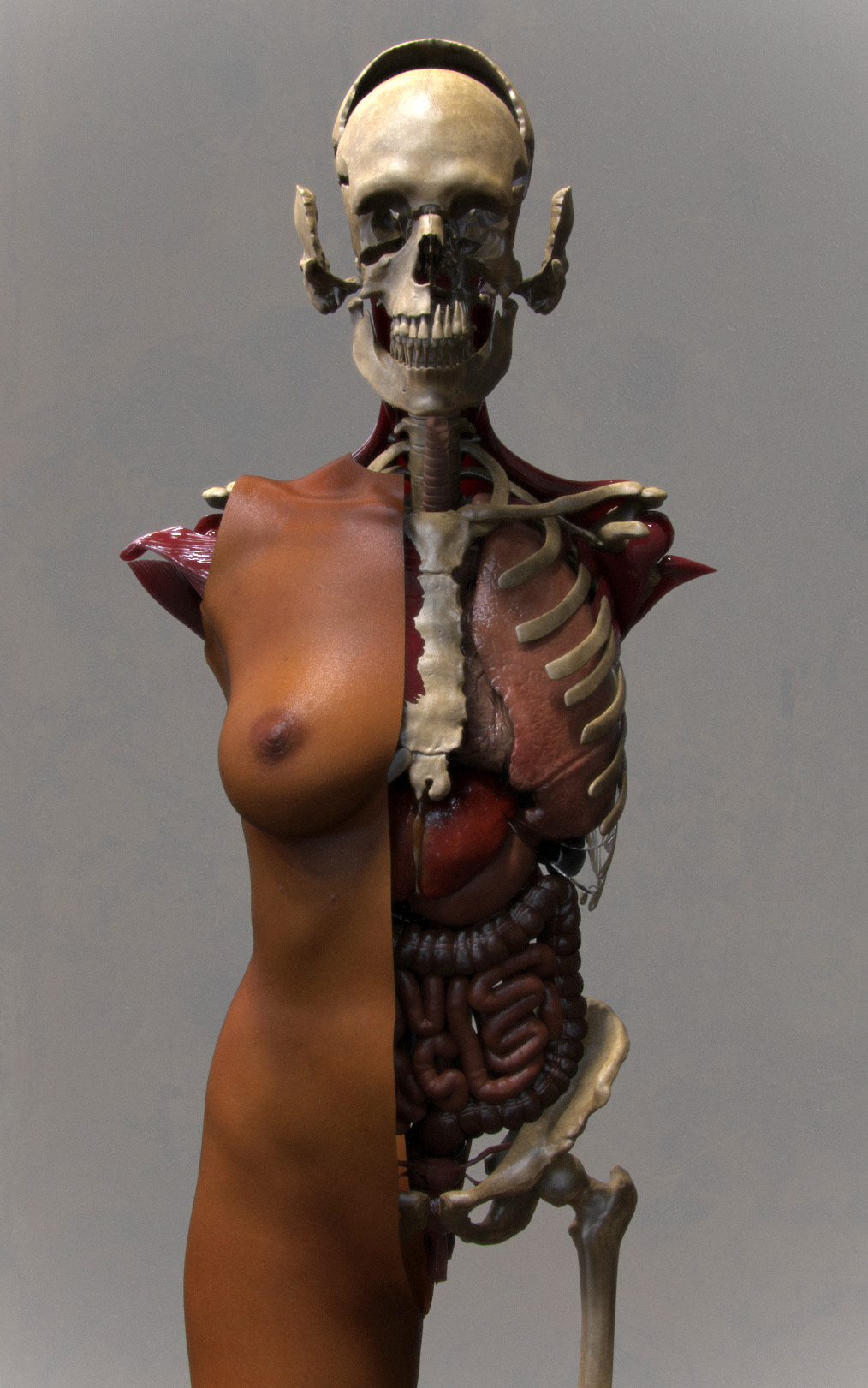 Full_body_low.jpg