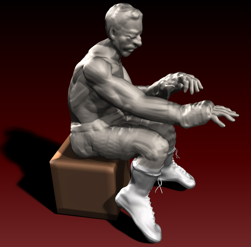 BOXER SHOES 3.jpg