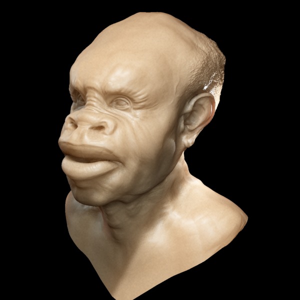 ugly.jpg