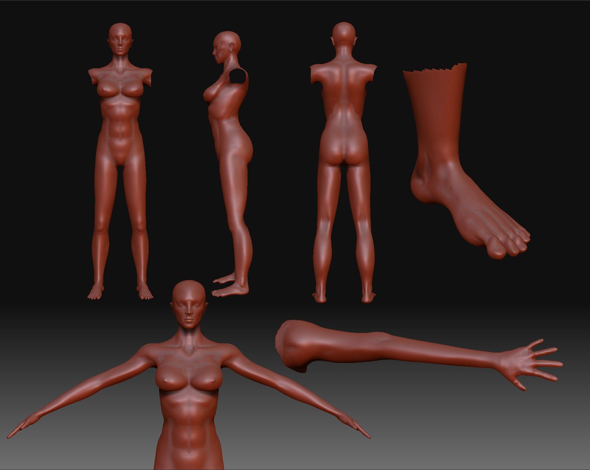 wip1.jpg