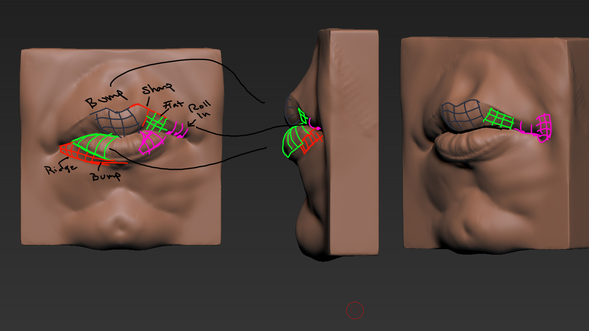 Mouth_Diagram.jpg