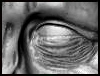 thumb.jpg