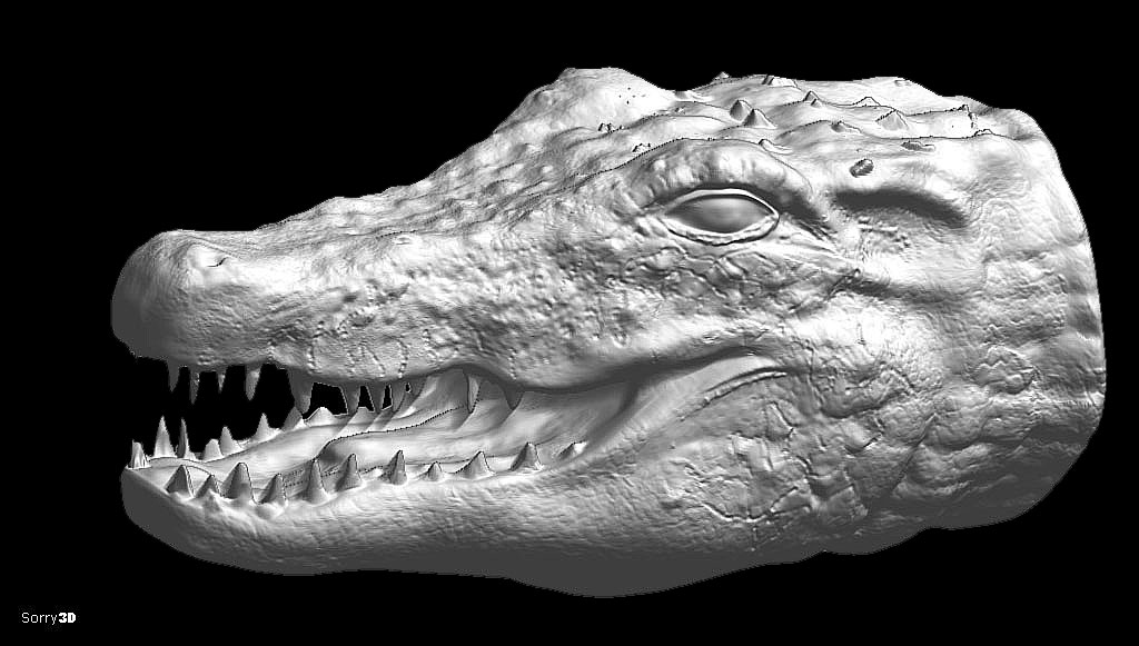 aligator_head_wip6.jpg