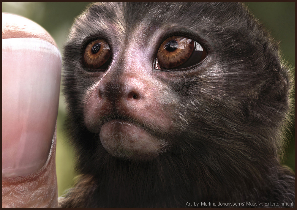 marmoset_6_r.jpg