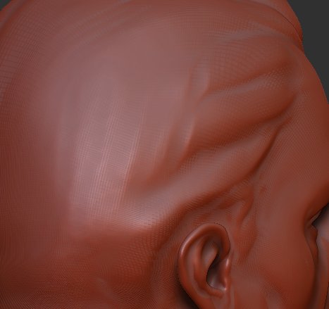 Smoothbrush ZB3_0_b.jpg