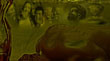 CASSIUS_CLAY_SONNY_LISTON 1.jpg
