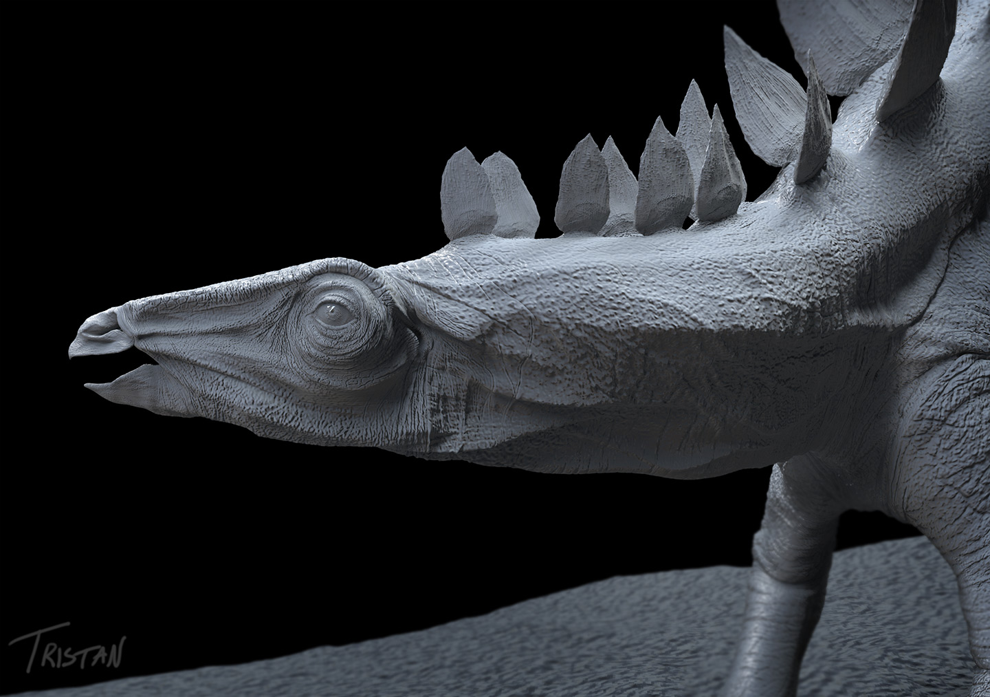 Stegosaurus_4.jpg