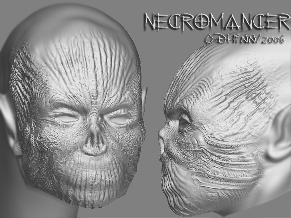 HEAD2_1020.jpg
