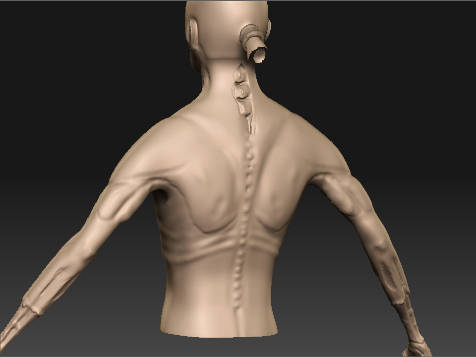 Exposed-neck.jpg
