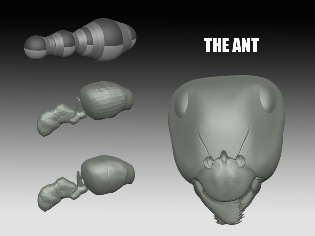 the ant.jpg