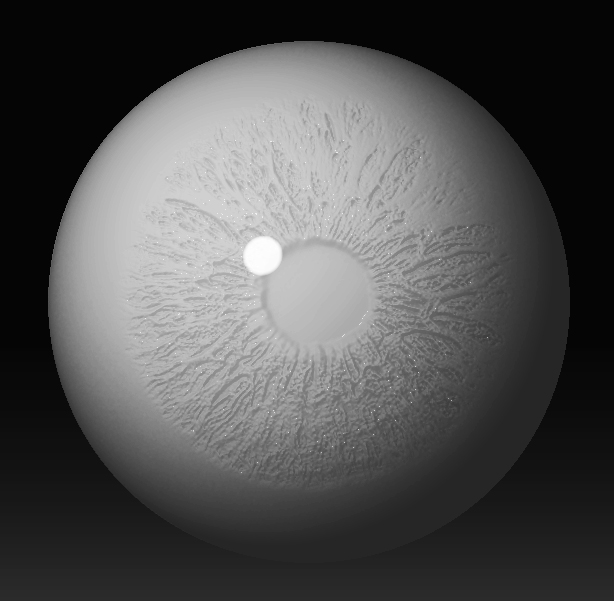eye.jpg