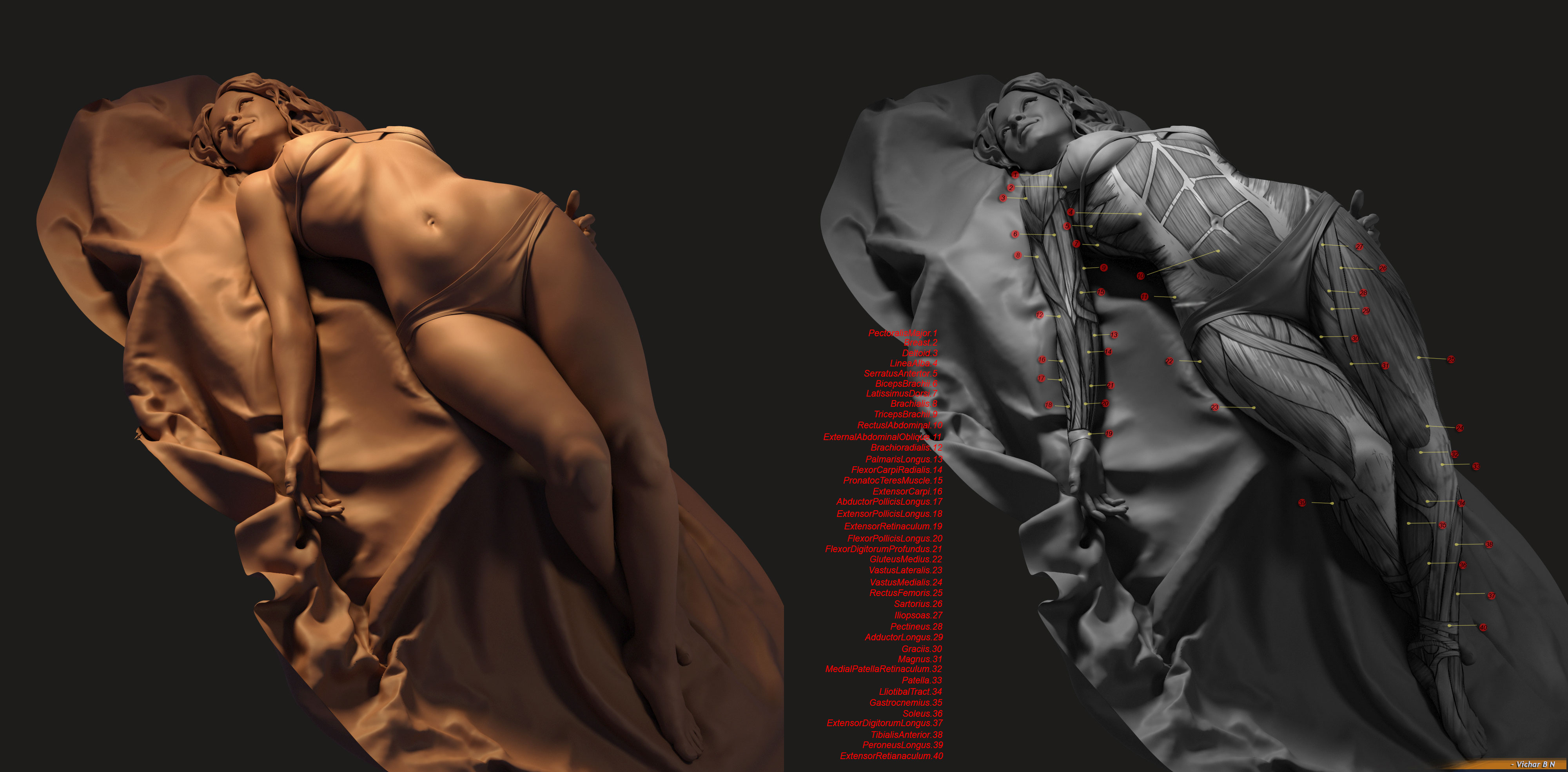 Vichar_character-anatomy-for-3D-artists_01.jpg