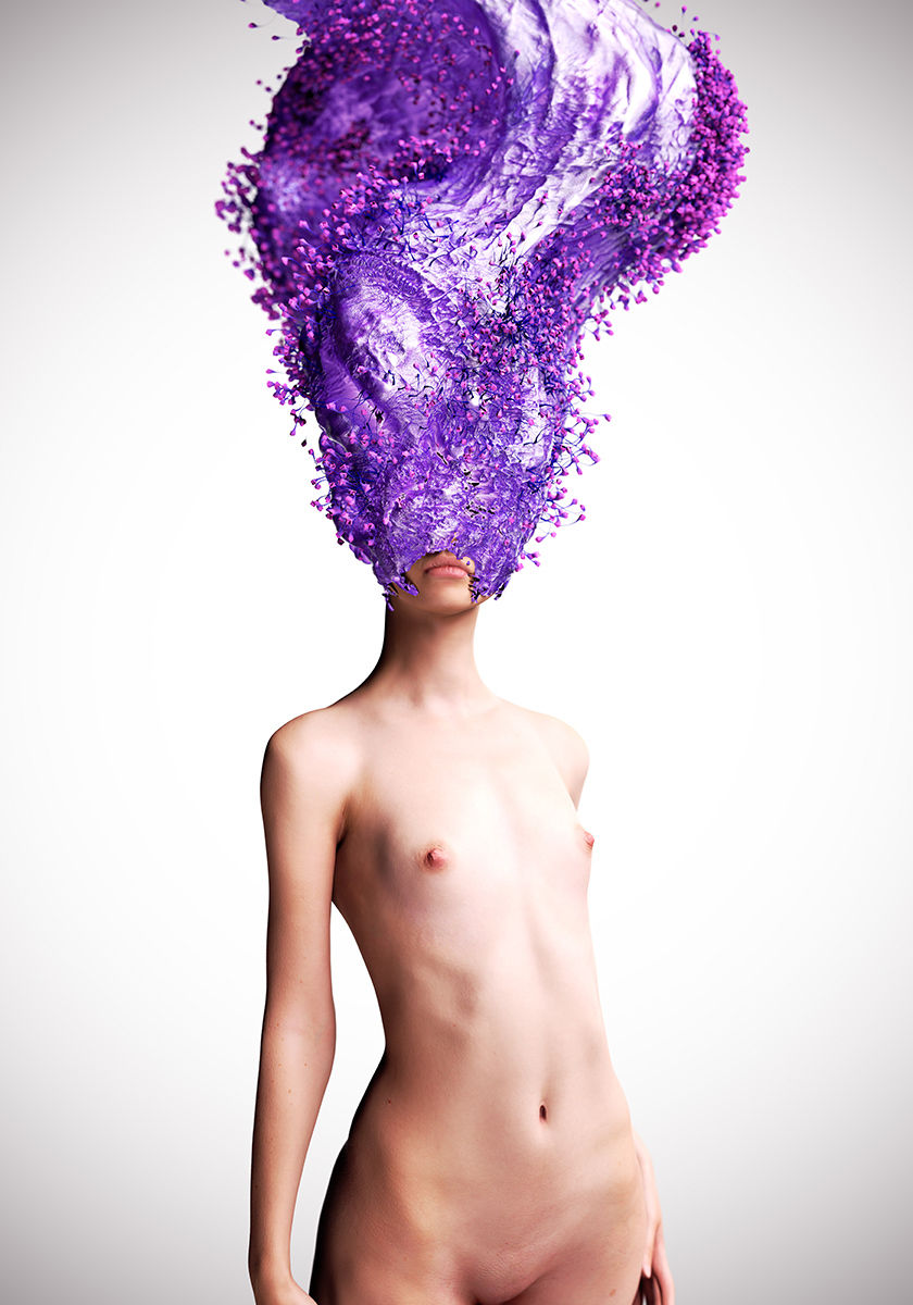 violet_1.jpg