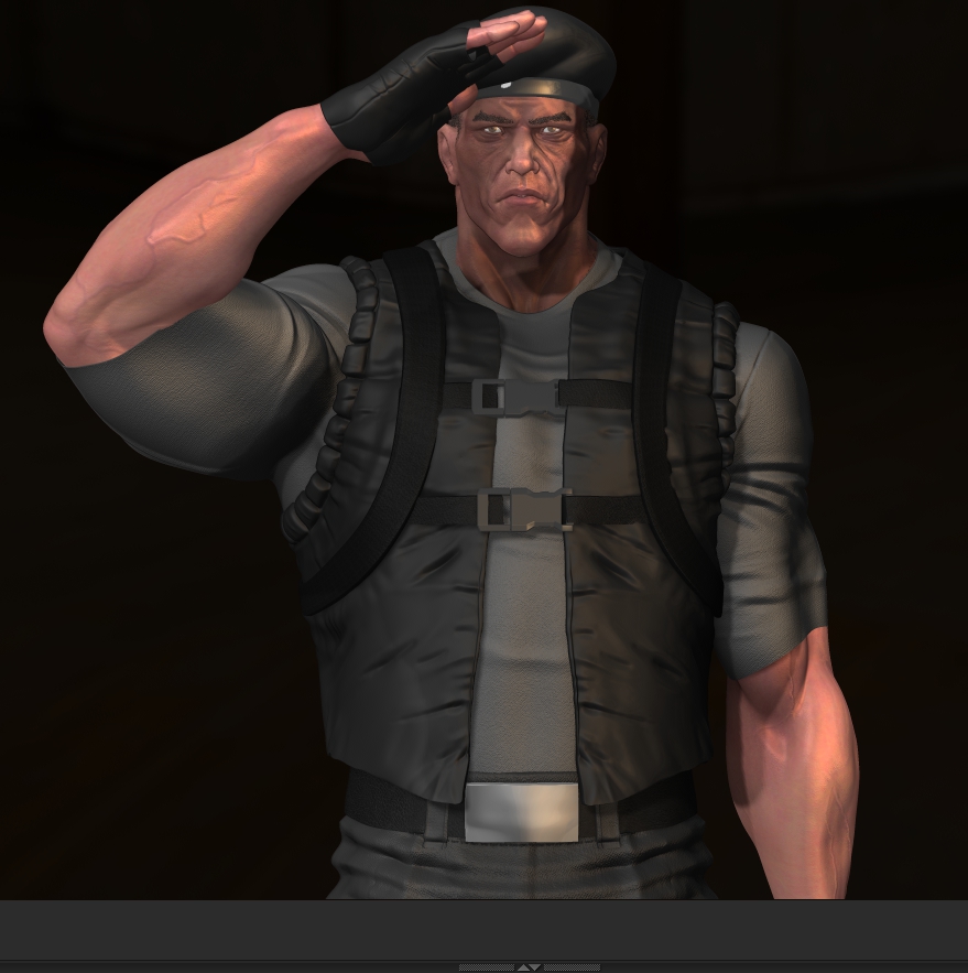 salute.jpg