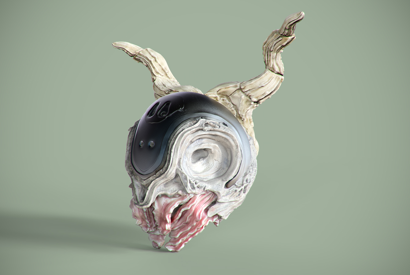 dschultz_bunny_test.jpg