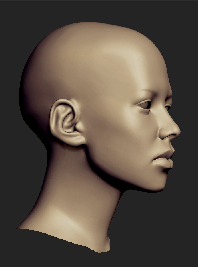 ZBrush Document (1).jpg