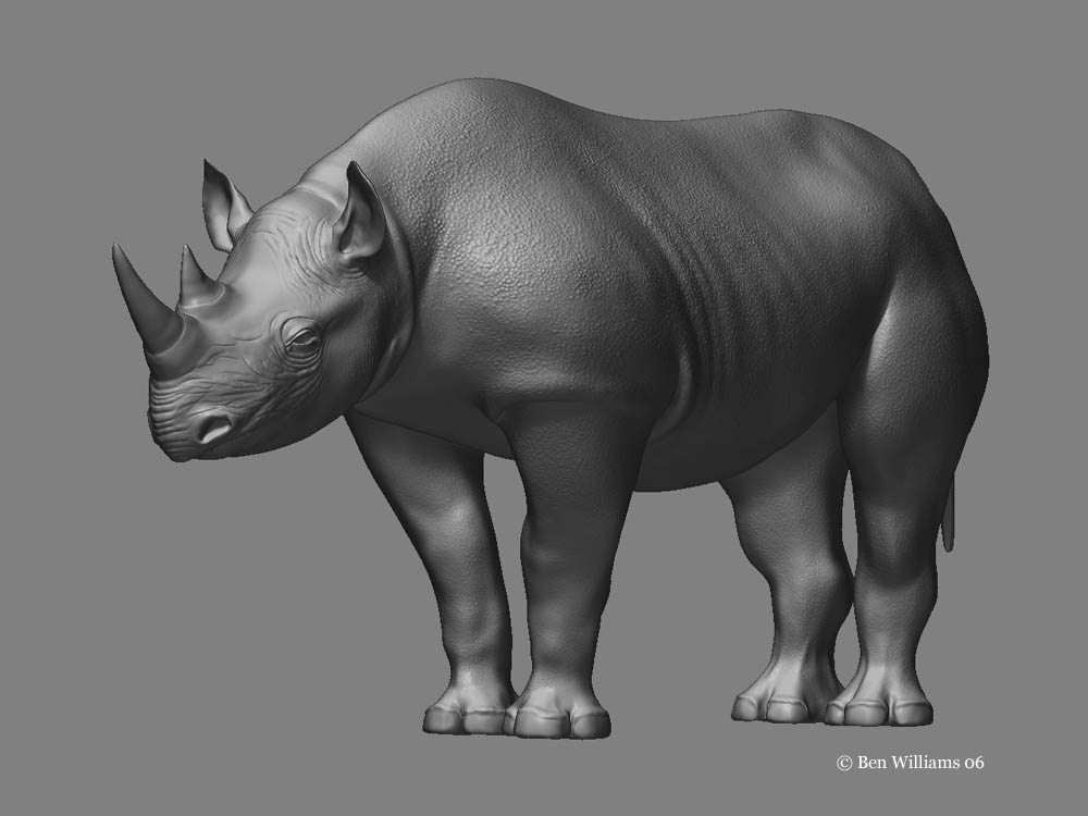 rhino5 copy.jpg