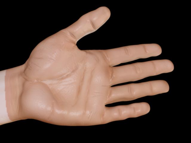 Hand_Colour.jpg