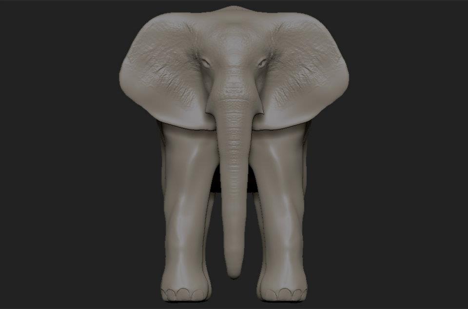 Elephant_texture.jpg