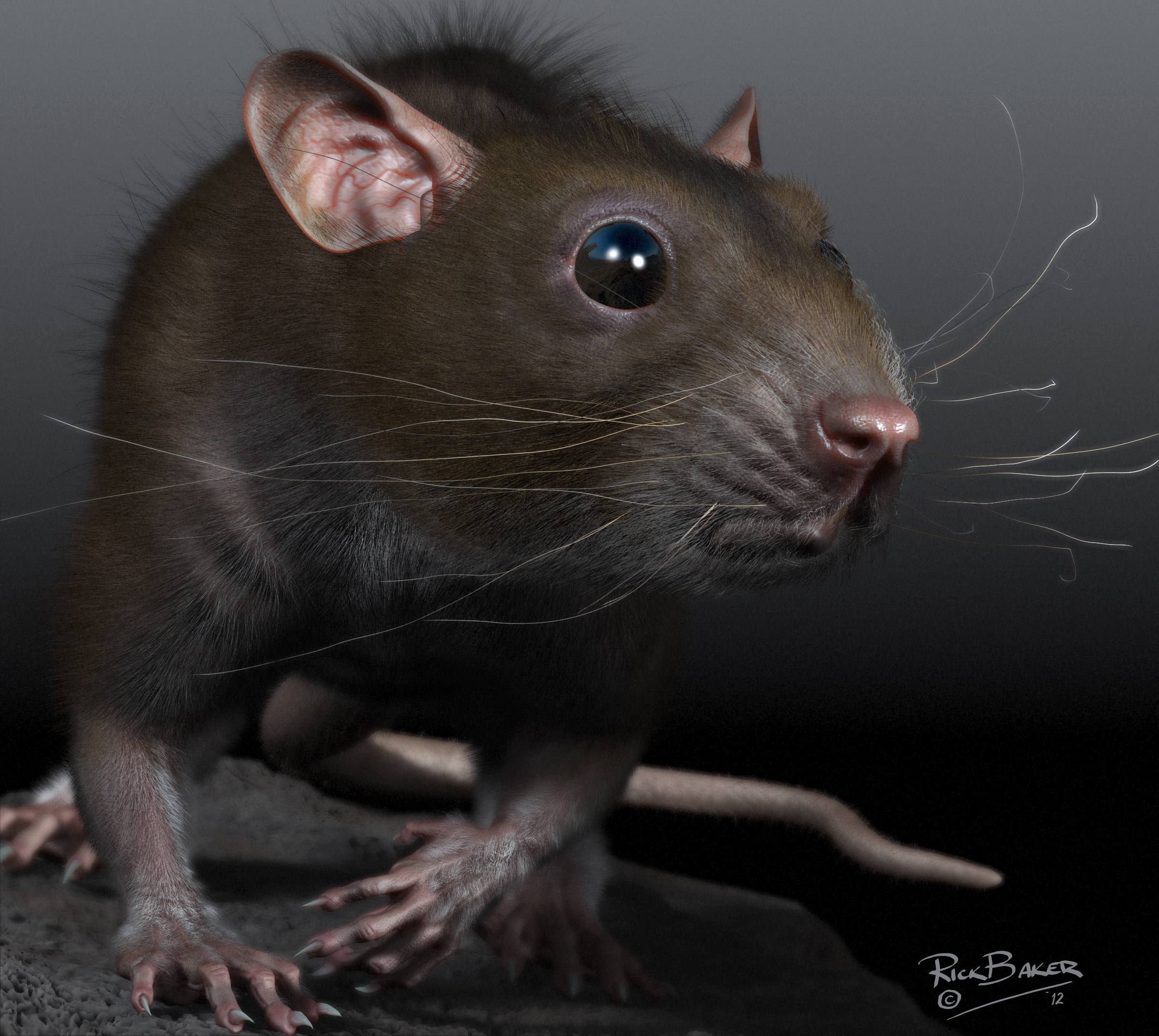 ratSuncup.jpg
