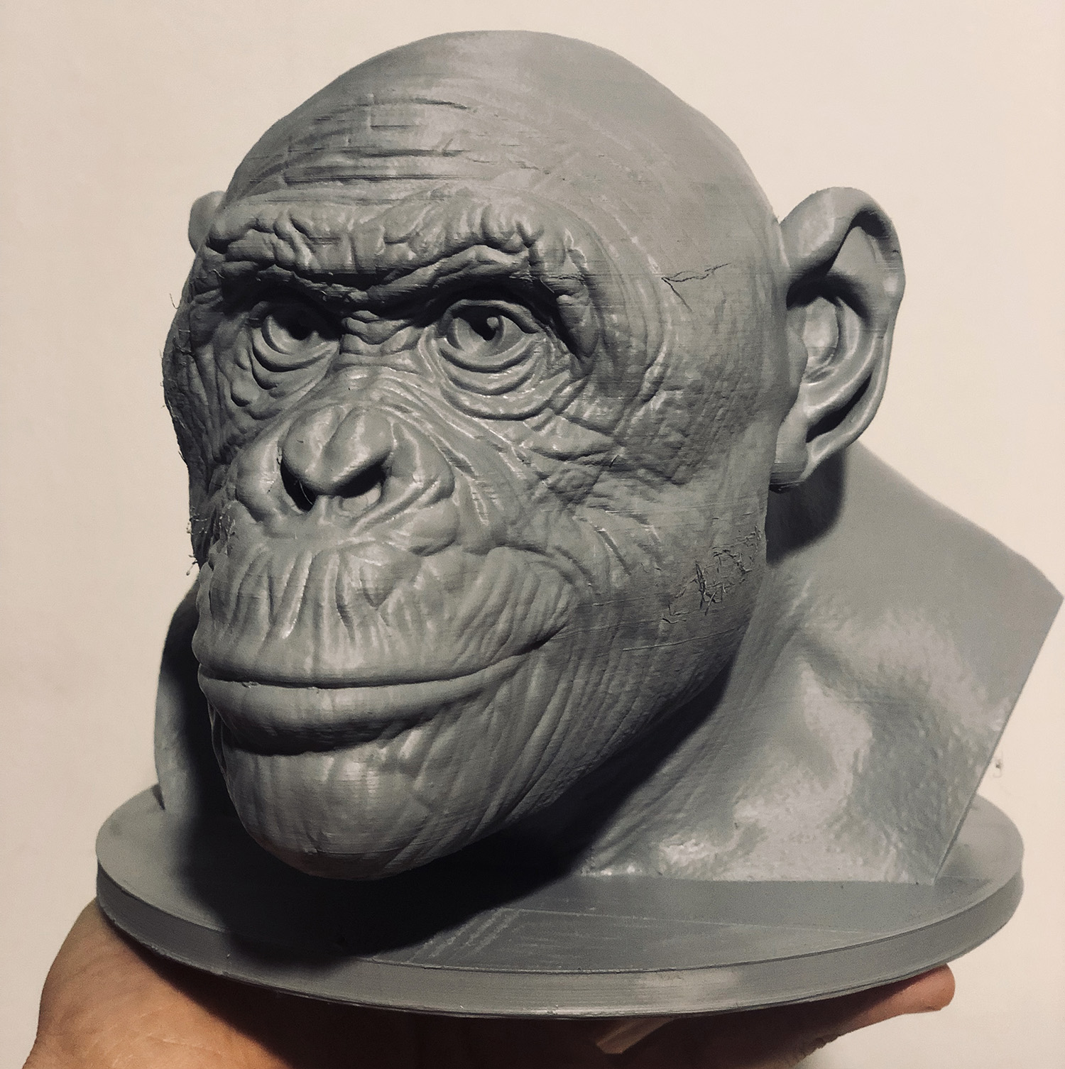 bonobo_c