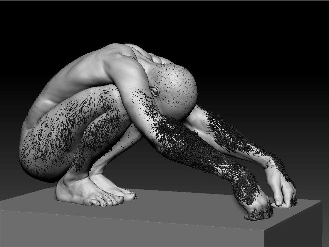 mueck_zbhair.jpg