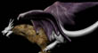 DRAGON SPOTLIGHT 3.jpg