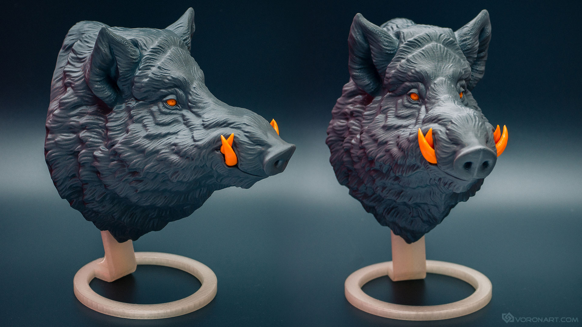 wild-boar-wall-mount-model-01.jpg
