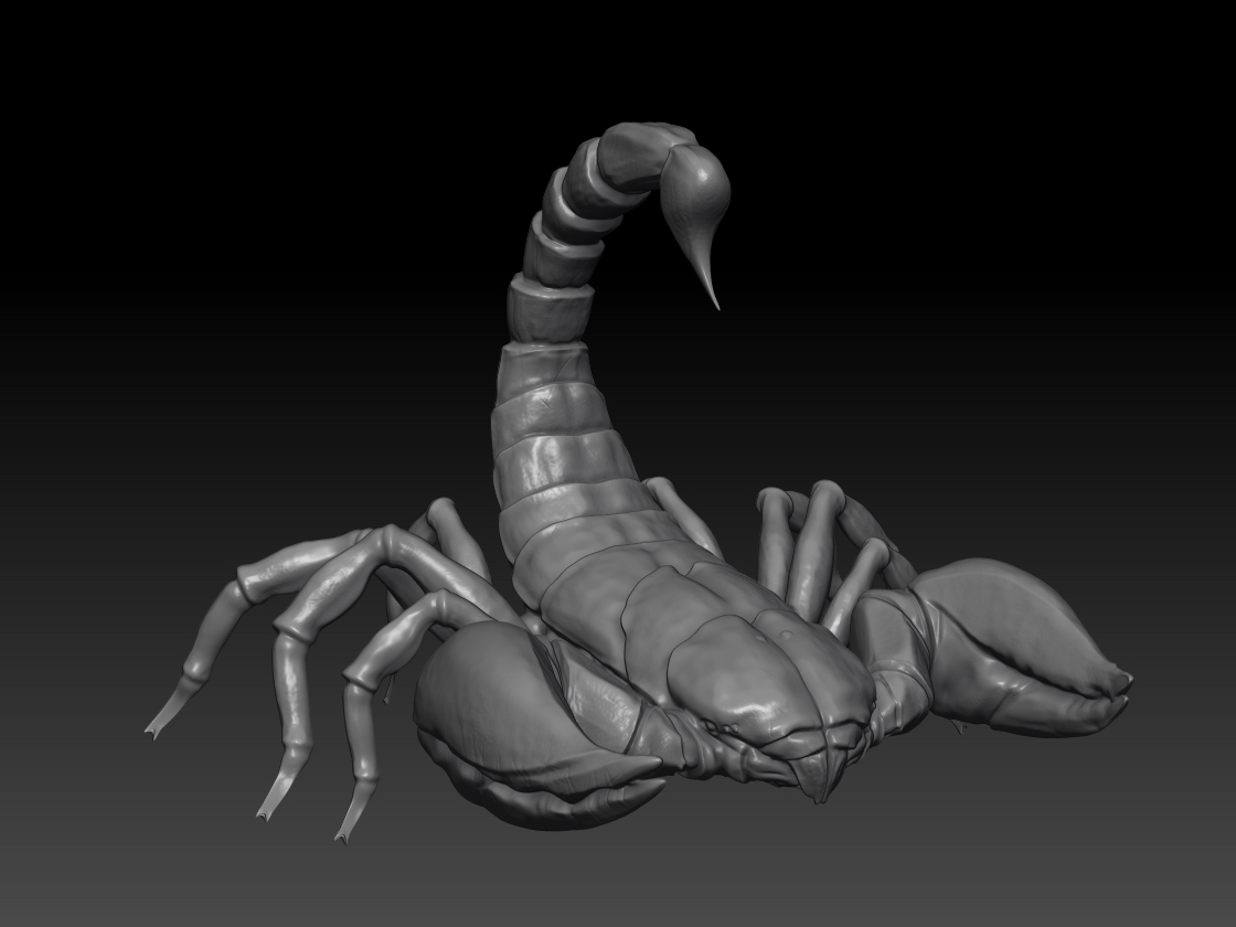 Scorpion1.jpg