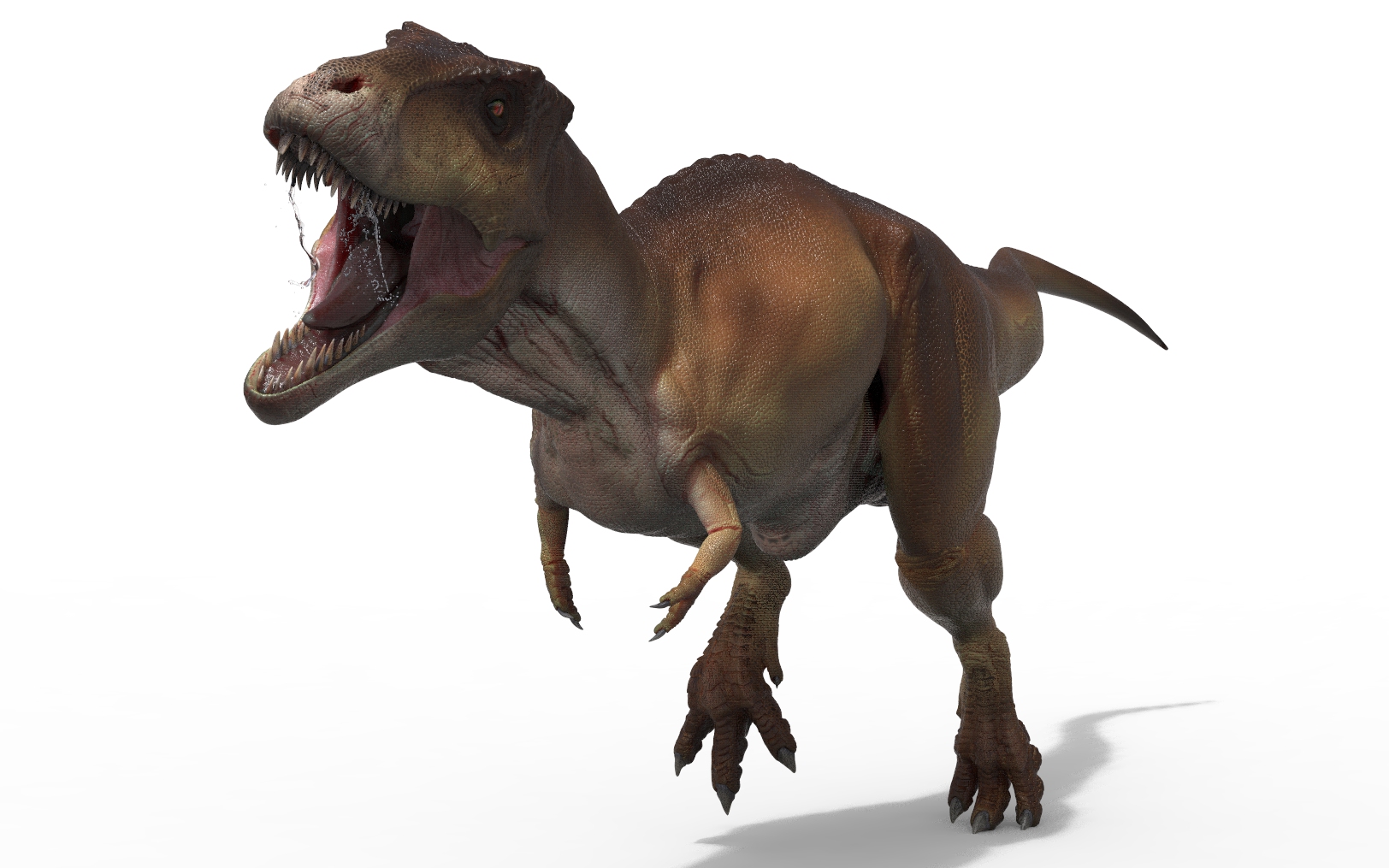 trexpose2.54.jpg