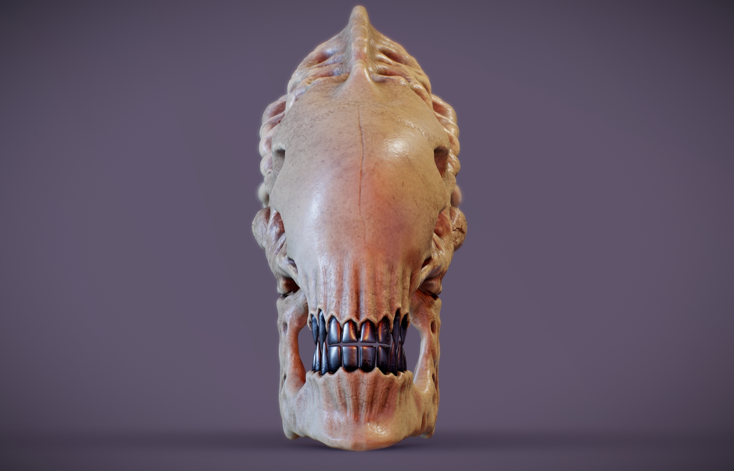 xenomorph_skull003.jpg