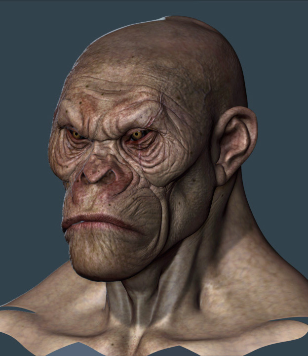 newmonkeyking copia.jpg