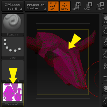 ZB- zMapper Pink Cavity Map.jpg