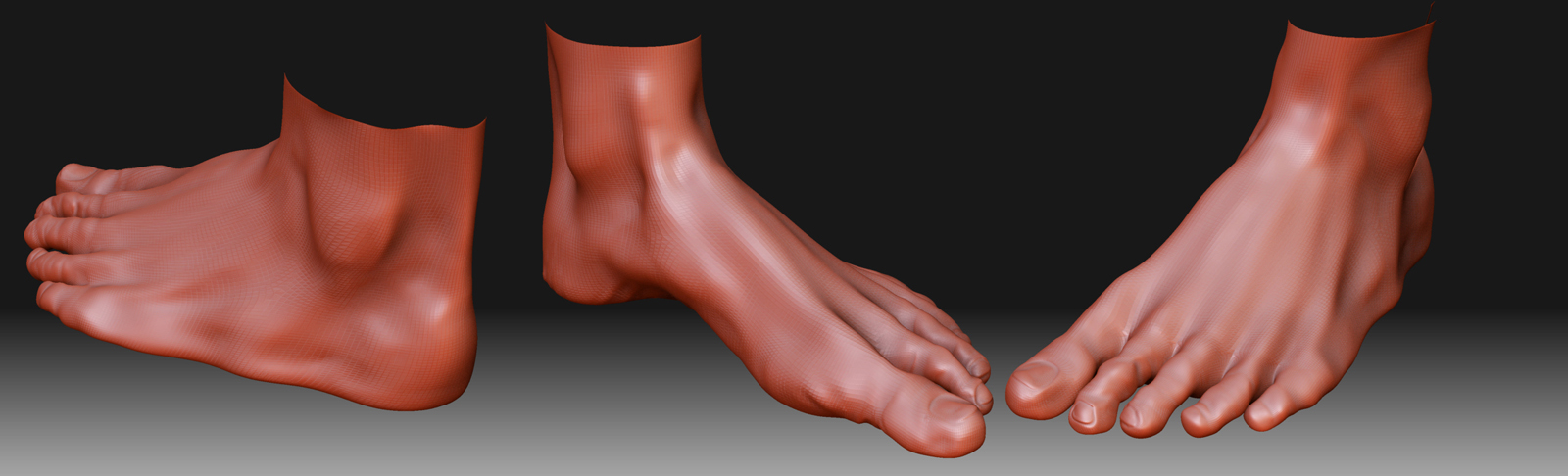 foot_study.jpg