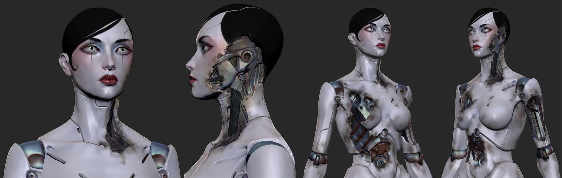 dolly_02.jpg
