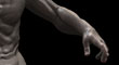 BodyInmotion_BPR-T.jpg