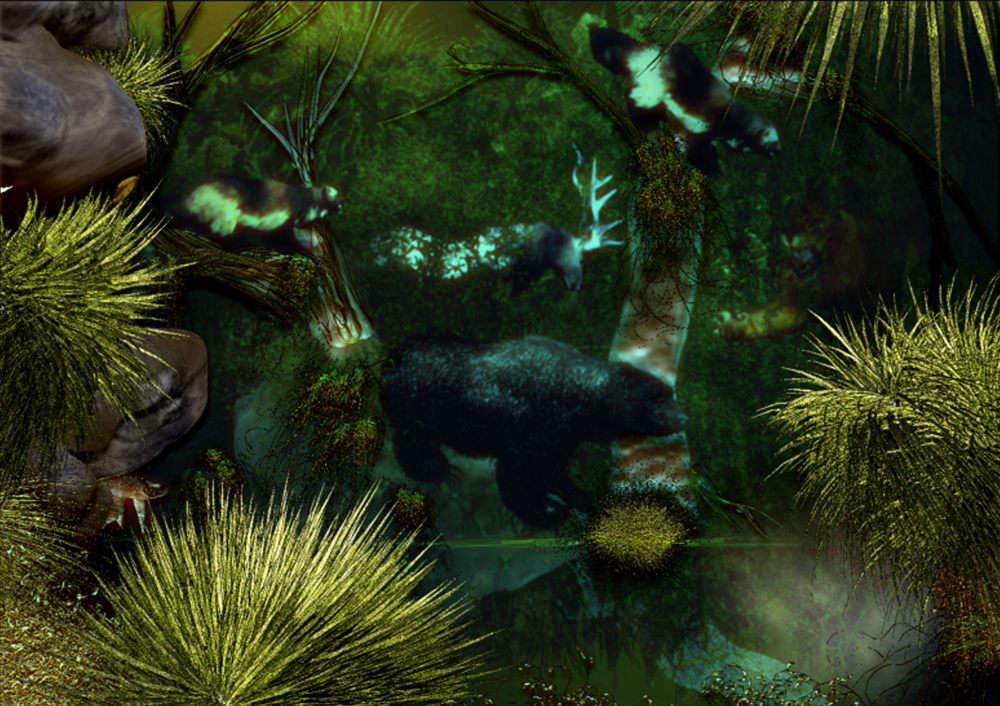WATER-REFLECTIONS-FIBERMESH.jpg