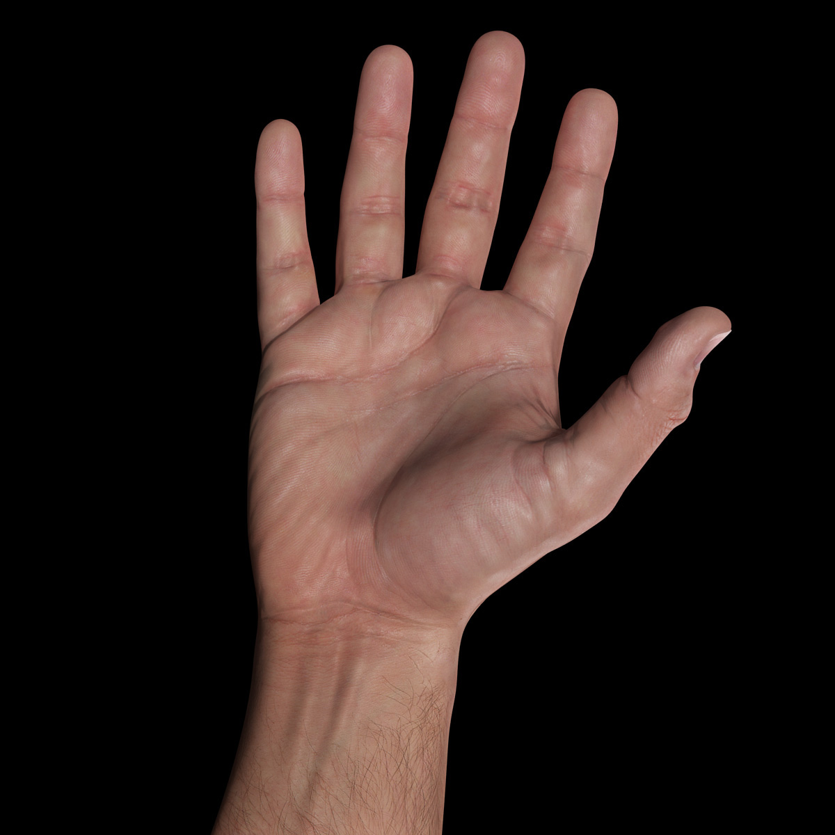 hand1-01.jpg