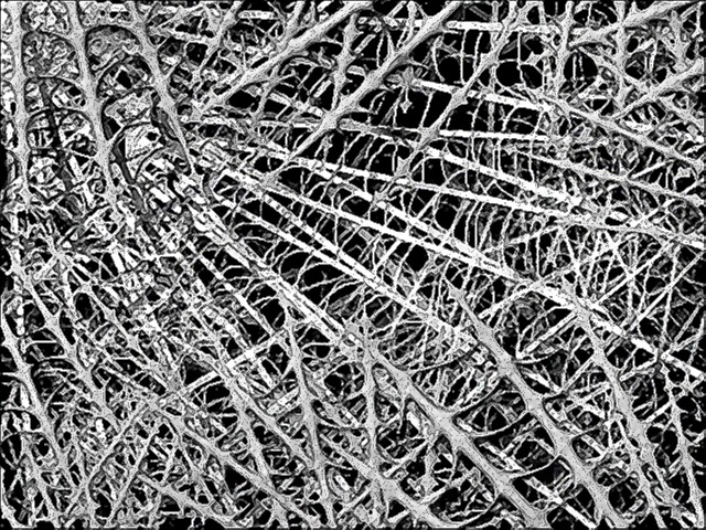 TheThickOfItAll122withFilter1J.jpg