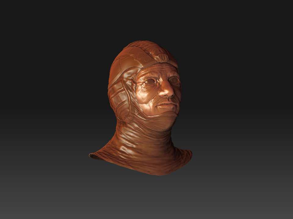 pilotWIP.jpg