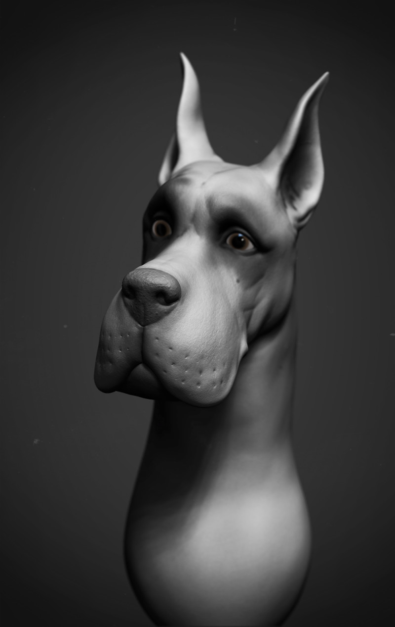 niyazi-selimoglu-scoob01.jpg