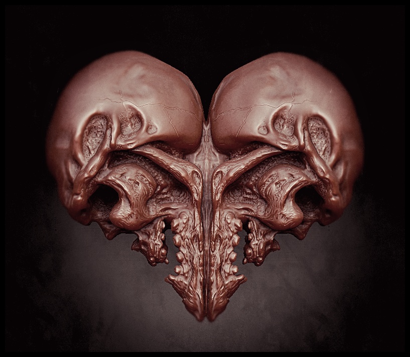 test-skull-01_a.jpg