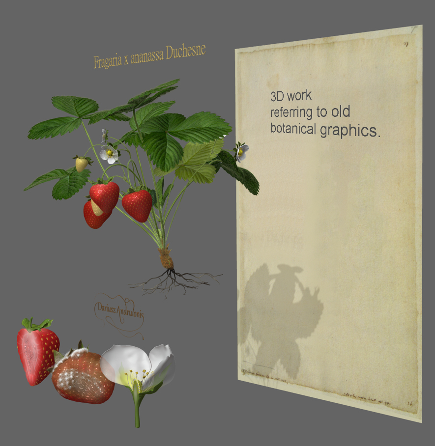 02_Starwberry.jpg