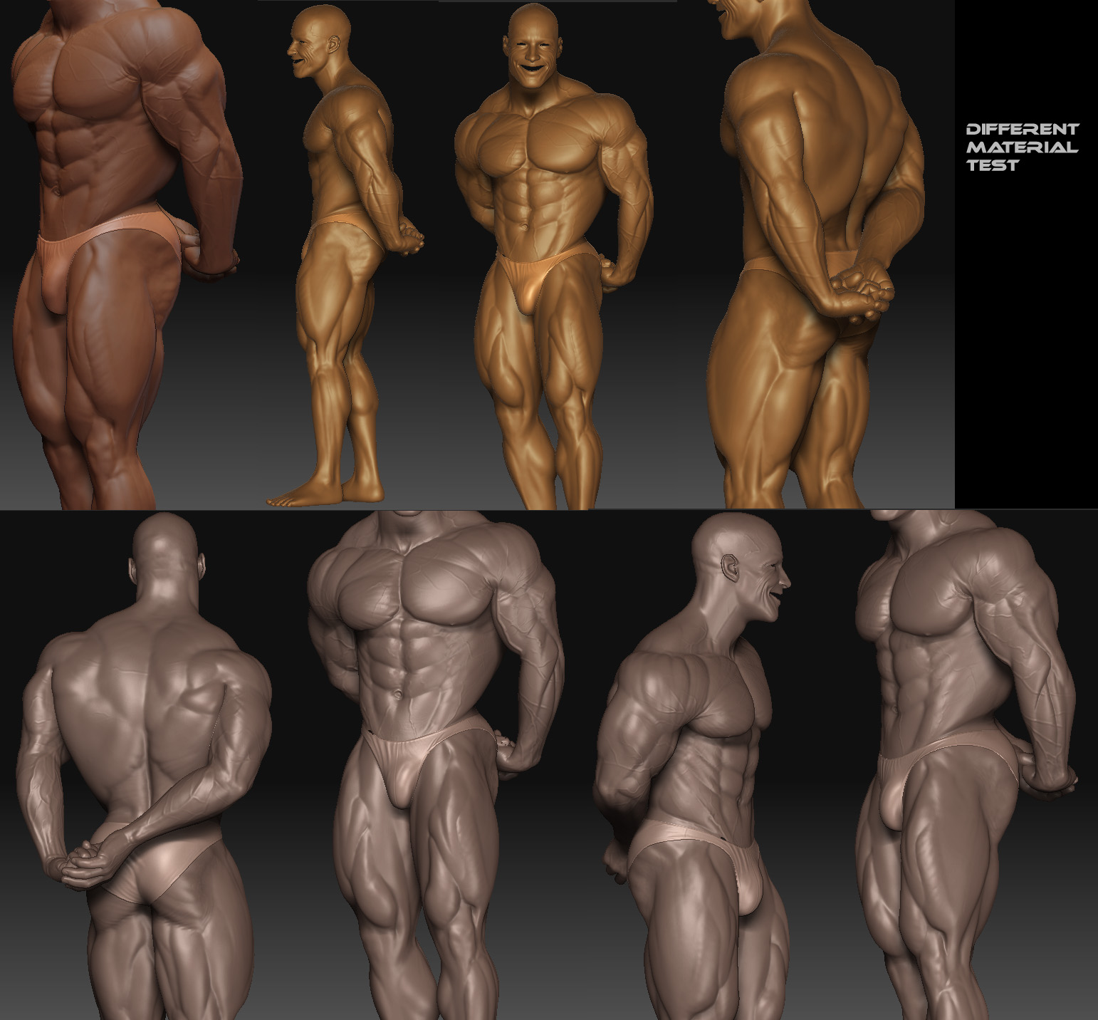 Montage_Shawn_body_material.jpg